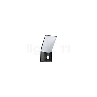 Paulmann Adya Wall Light LED with Motion Detector anthracite