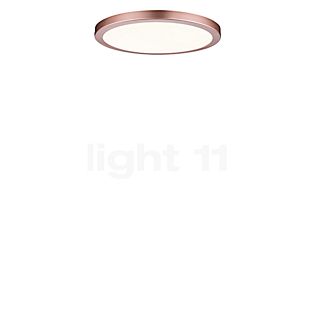 Paulmann Atria Ceiling Light LED round rose gold, ø30 cm