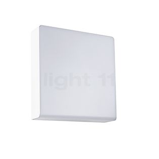 Paulmann Azalena Solaire-Applique et Plafonnier LED blanc