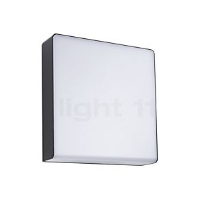 Paulmann Azalena Zonne-Wand- en Plafondlamp LED antraciet