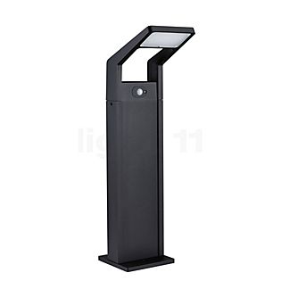 Paulmann Juntea Bollard Light LED anthracite