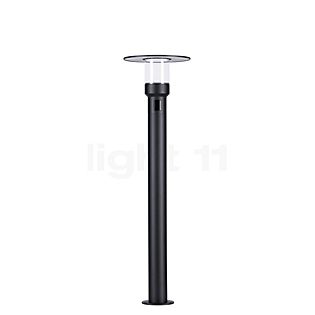 Paulmann Sienna Bollard Light LED anthracite