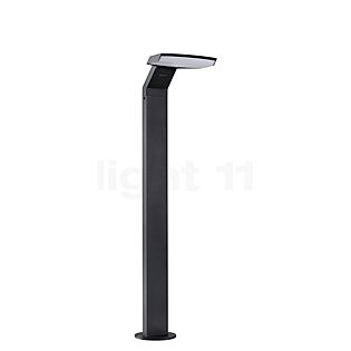 Paulmann Zenera Bollard Light LED anthracite