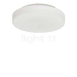 Peill+Putzler Rasa Plafond-/Wandlamp ø31 cm