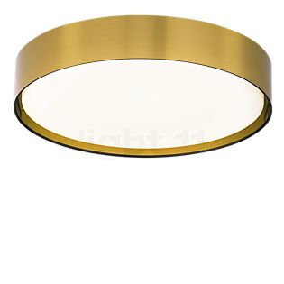 Peill+Putzler Varius F Loftlampe LED guld - ø47 cm