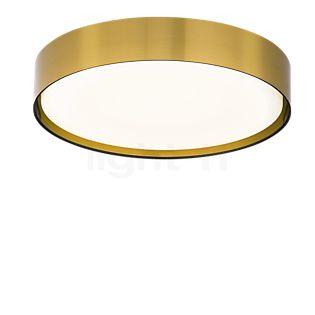 Peill+Putzler Varius F Loftlampe guld - ø42 cm