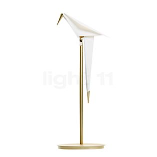 Perch Light Table LED Messing