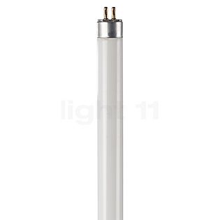 T16 sales fluorescent tube