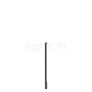 Reed 1.0 d'éclairage LED sans ballasts anthracite