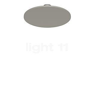 Rotaliana Collide, lámpara de techo/pared LED ø33 cm - champán - 2.700 k - de fase de control
