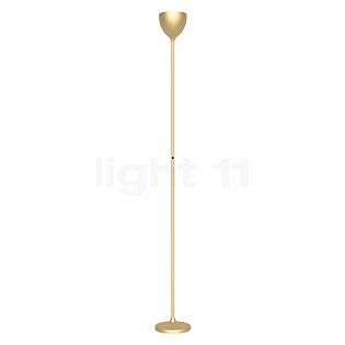 Rotaliana Drink F1 Deckenfluter LED gold