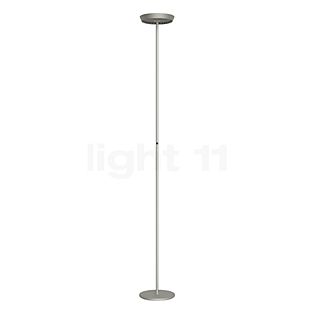 Rotaliana Prince F1 Floor Lamp LED champagne - 2.700 k - with dimmer