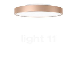 Serien Lighting Slice² Pi Loftlampe LED guld - ø22,5 cm - 3.000 k - uden indirekte andel