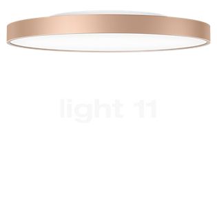 Serien Lighting Slice² Pi Plafonnier LED doré - ø33,5 cm - 2.700 k - avec part indirecte