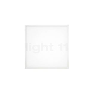 Sigor Fled Pannello a montaggio superficiale LED 62 x 62 cm , Vendita di giacenze, Merce nuova, Imballaggio originale