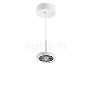 Sigor Nivo Pendelleuchte LED weiß - 36°