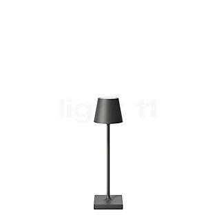 Sigor Nuindie pocket Bordlampe LED antrazit