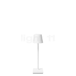 Sigor Nuindie pocket Bordlampe LED hvid