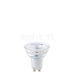 Sigor PAR16-dim 6,8W/c 24° 927, GU10 dim to warm LED translucide clair