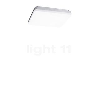 Sigor Square Plafonnier LED argenté - 21 cm - 3.000 k - commutable