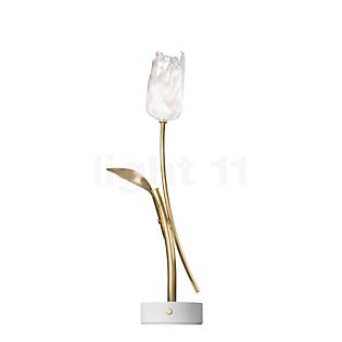 Slamp Tulip Lampe rechargeable LED blanc