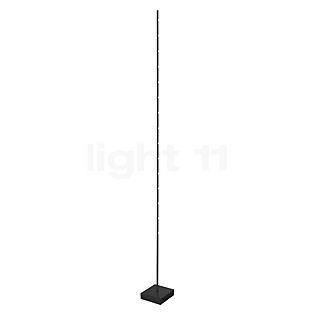 Sompex Pin Floor Lamp LED black