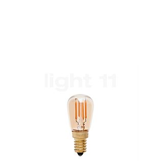 Tala CO28-dim 2W/gd 922, E14 LED gold , Warehouse sale, as new, original packaging