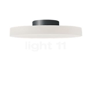 Top Light Allround Flat Lampada da soffitto LED antracite - ø24 cm - ip20