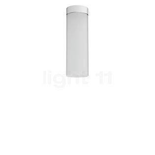 Top Light Dela Deckenleuchte baldachin weiß matt, white edition - 20 cm - E27