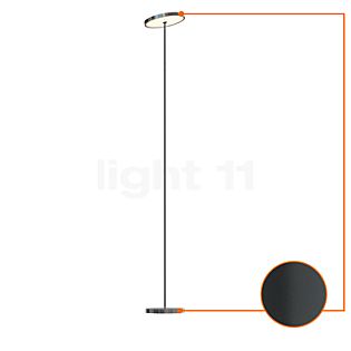 Top Light Sun Floor Standerlampe LED Downlight antracit/krom skinnende - ø21 cm - 180 cm