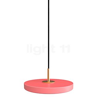 Umage Asteria Micro, lámpara de suspensión LED rosa - Cover latón , artículo en fin de serie