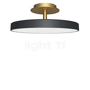 Umage Asteria Up Lampada da soffitto LED medium - antracite