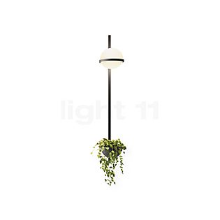 Vibia Palma Lampada da parete LED verticale - con vaso per piante grafite