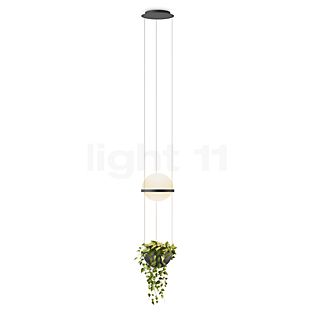 Vibia Palma, lámpara de suspensión LED grafito - 40 cm