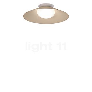 Wever & Ducré Clea 1.0, lámpara de techo LED gris