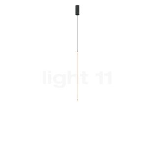 Wever & Ducré Finlin 1.0 Hanglamp LED zwart/champagne - 3.000 k