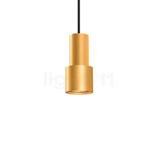 Wever & Ducré Odrey 1.1 Pendant Light lamp canopy black/lampshade gold