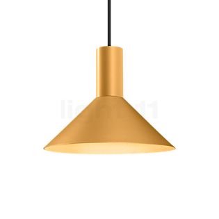 Wever & Ducré Odrey 1.6, lámpara de suspensión florón negro/pantalla dorado
