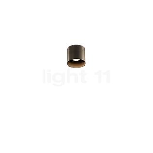 Wever & Ducré Ray 1.0 Loftlampe PAR16 bronze