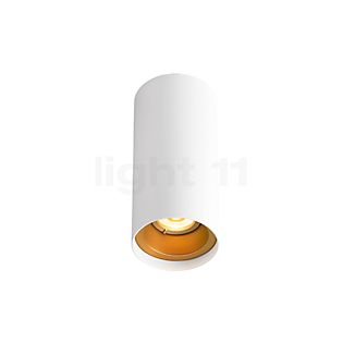 Wever & Ducré Solid Petit 1.0 Spot LED blanc/doré