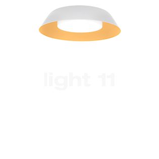 Wever & Ducré Towna 1.0 Plafondlamp LED wit/goud