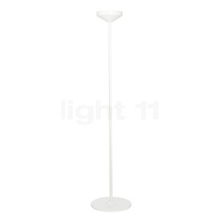 Zafferano Piede per Pina Lampada ricaricabile LED bianco