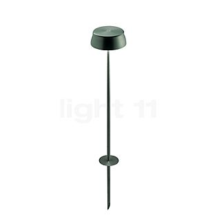 Zafferano Sister Light Acculamp LED met grondpen groen