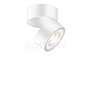 light11 HOME Vivid Spot LED blanco