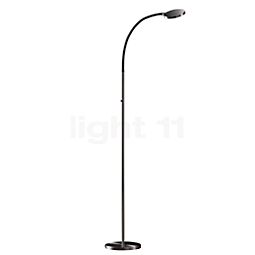  Holtkötter Flex S Floor Lamp LED platinum/black