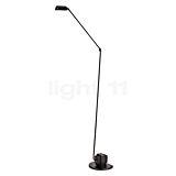 Buy Lumina Daphine Terra LED at light11.eu