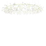 Moooi Heracleum Iii The Big O, lámpara de suspensión Led — imagen 3