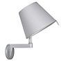 Artemide Melampo Parete aluminium grey