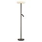 Bankamp Cielo Floor Lamp LED 2 lamps bronze matt