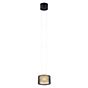 Bankamp Grand Flex Pendant Light LED 1 lamp black anodised/glass Groove - ø20 cm
